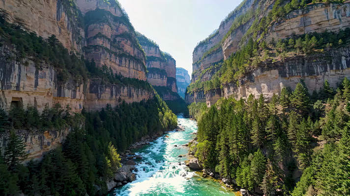 峡谷河流森林自然风光 峡谷河流森林自然风光