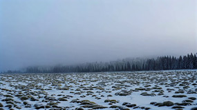 ѩȻ