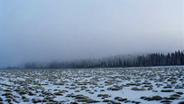 ѩȻ