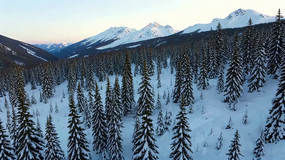 ѩɽɭ��ѩ�����