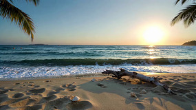 ��̲������Ȼ���