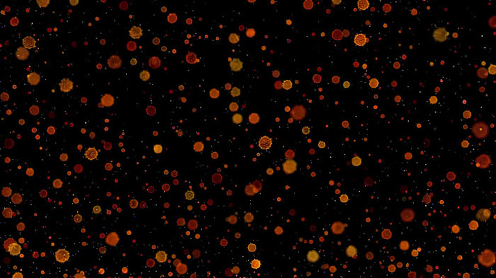 黑色背景粒子动态素材