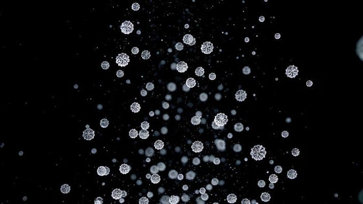 黑色背景飘落雪花粒子