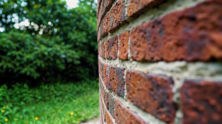 红砖墙壁与绿色植物特写