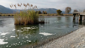 «έջȻ