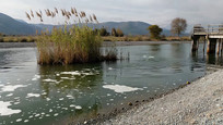 «έջȻ