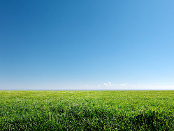 蓝天的草地风景草原风光图片 蓝天的草地风景草原风光图片