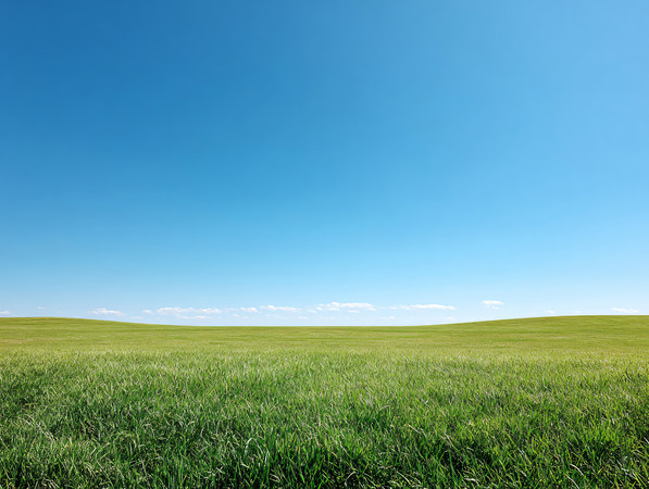 ����Ĳݵط羰��ԭ���ͼƬ