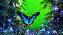 Ļǰɫز
