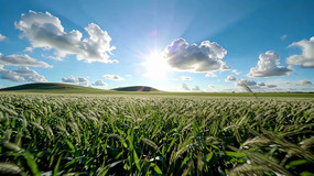 ������Ȼ���ȫ��