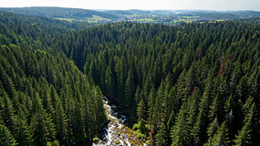 ɭ�ֺ������ȫ��