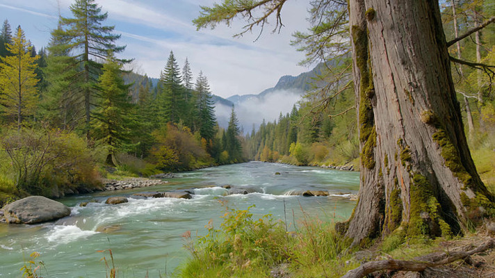 ɭ�ֺ�����Ȼ����ز�