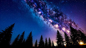ɭҹµǿ
