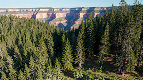 ɭ����Ͽ��ȫ�����