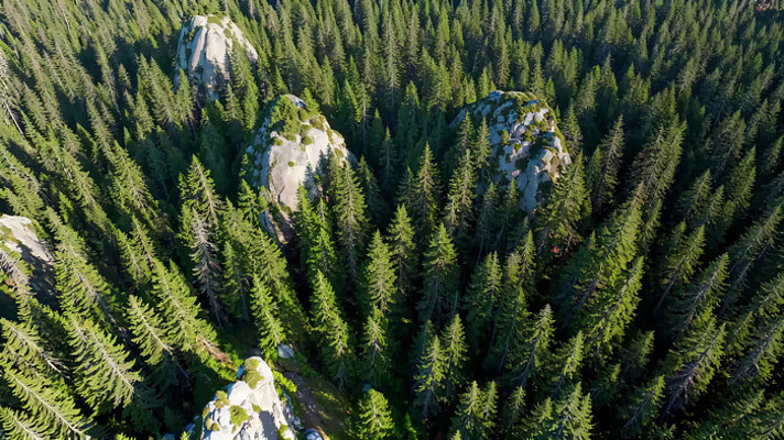 森林中岩石的鸟瞰全景 森林中岩石的鸟瞰全景