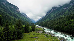 ɽ�ȼ����ɭ����Ȼ���