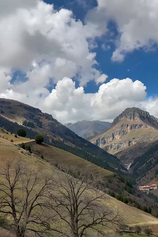 ɽ����Ȼ����ز�