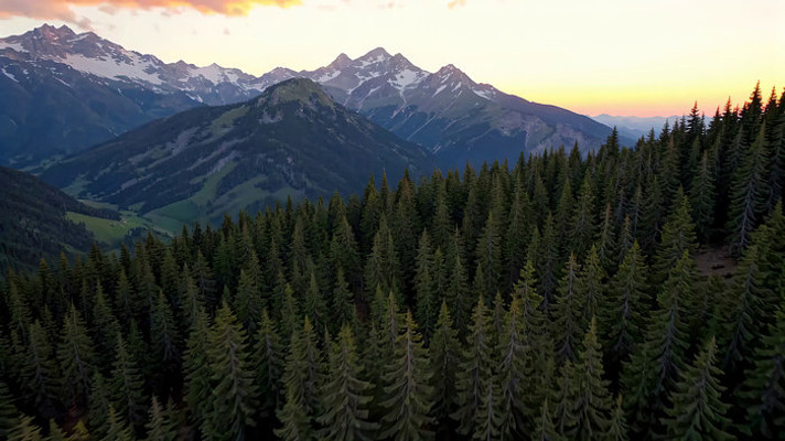 ɽ������ȫ��