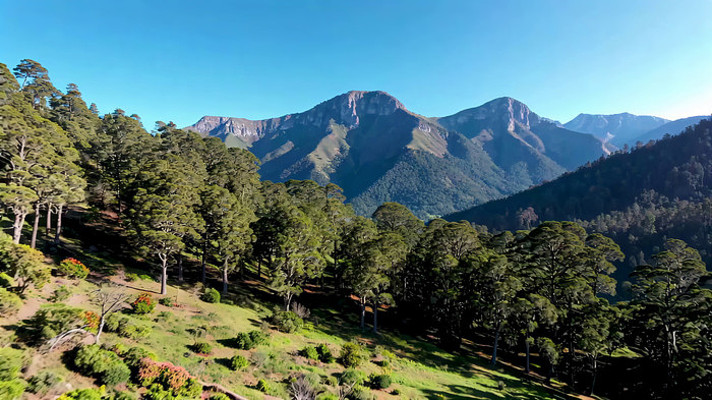 山林自然风光全景 山林自然风光全景