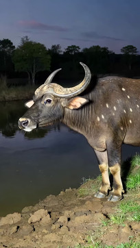 ˮˮţ