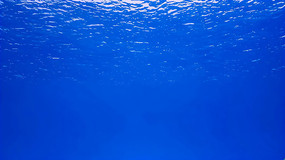 ˮº