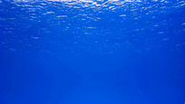 ˮº
