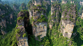ԴȻ