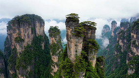 Դ徰