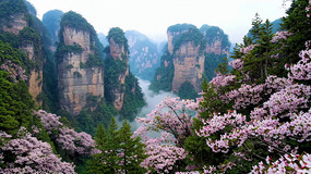 ԴȻ