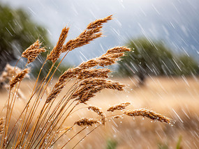 �����µ�«έ�羰��ԭ���ͼƬ