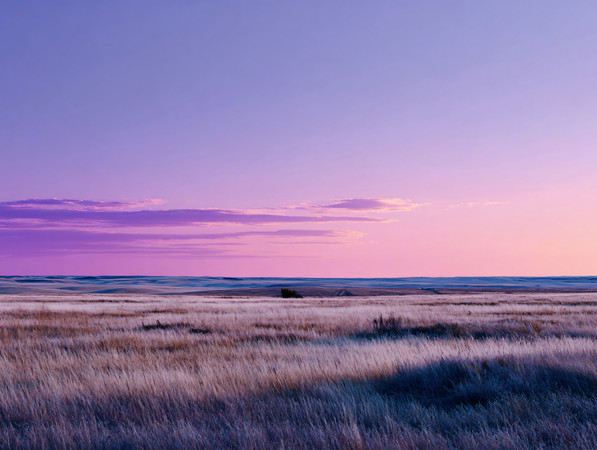 霞光下草地风景草原风光图片 霞光下草地风景草原风光图片