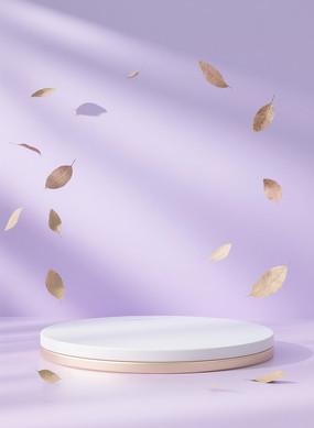 ��ɫС���µ���չʾ̨����