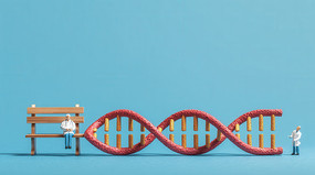 DNA˫