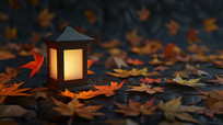 ڷڵϵҶ