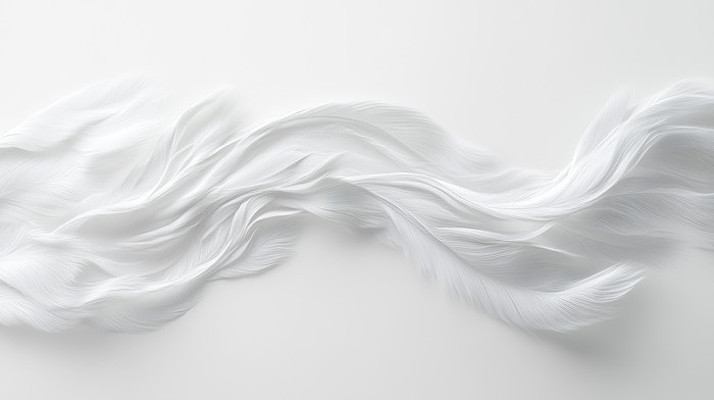 白色背景上的轻柔的羽毛 白色背景上的轻柔的羽毛