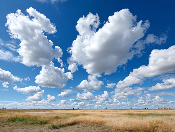 白云下草地风景 草原风光图片 白云下草地风景 草原风光图片