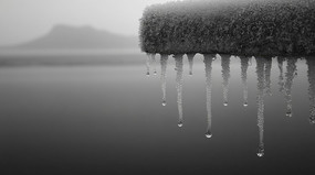 ˪¹ұ