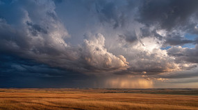 ��ԭ�������ܲ���׳������