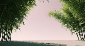 ҡҷʫռ