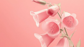 ۺ컨䱳ͼ