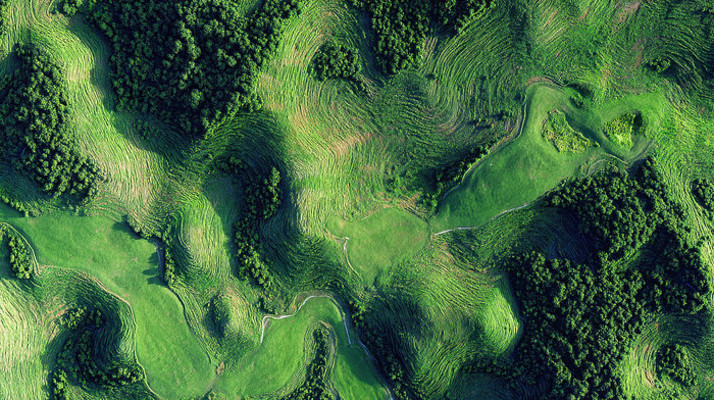 俯瞰绿色山丘与树林景观 俯瞰绿色山丘与树林景观