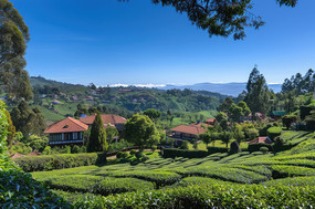 ��ɽ��԰�븽���Ĵ�ׯ