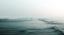 浥˳Զ