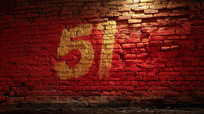 ɫǽשϵ51