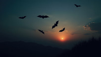 ƻʱַеȺ