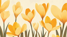 ��ɫ���䱳��ͼ��