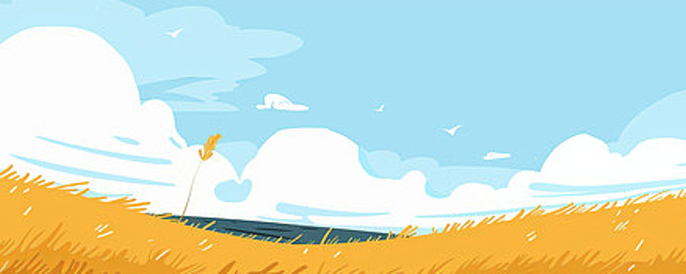 金色的田野和成熟的小麦 金色的田野和成熟的小麦