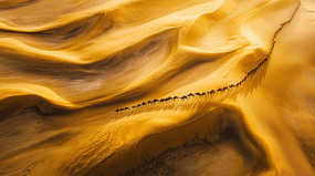 ��ɫɳ���ϵ�����