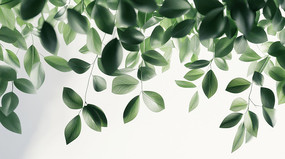 ��ɫ��Ҷ����