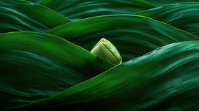 ��ɫ��Ҷ����������